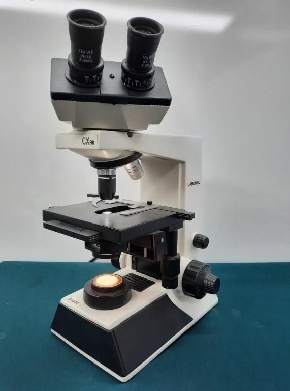 Labomed Model CXR2 Binocular Microscope | Live and Online Auctions on ...