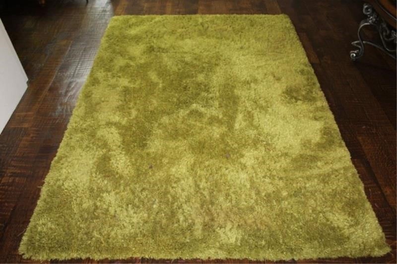 Pier 1 Imports Green Area Rug, Pier 1 Area Rugs