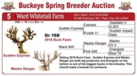 2017 Buckeye Spring Breeder Auction