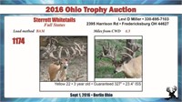 2016 Ohio Trophy & Breeder Auction
