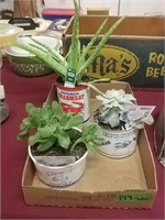 Crabmeat Cans With Plants