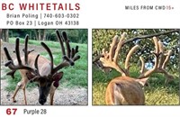 2021 Ohio Fall Trophy & Breeder Auction